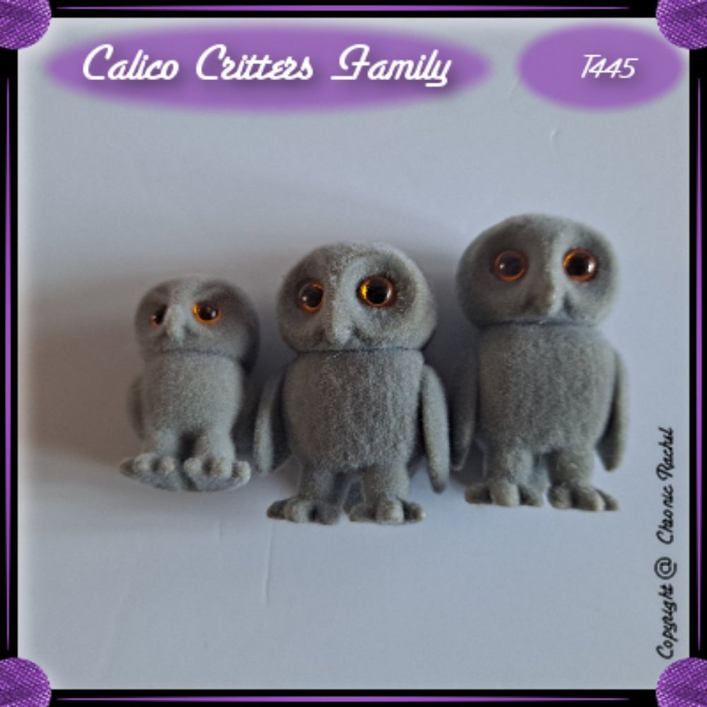 Treefellow Owl Family - Picture 5 of 5